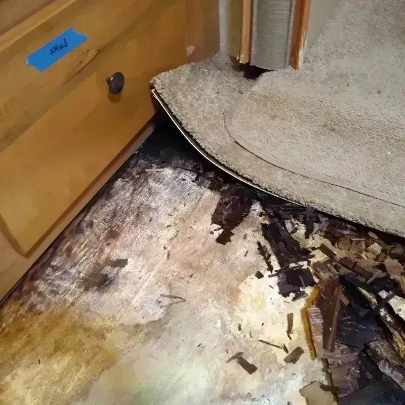 Wood Floor Water Damage in Hidalgo, TX